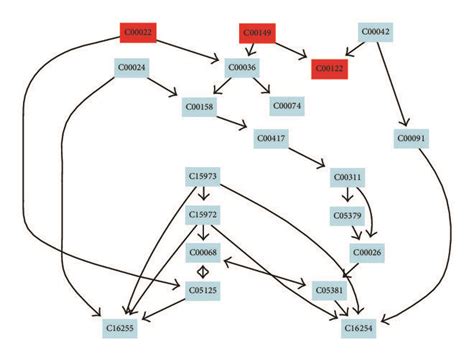 (a) beta-Alanine metabolism, (b) glycerolipid metabolism, (c) alanine ...