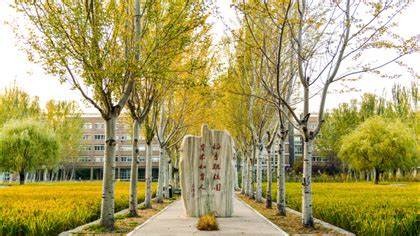 Shenyang Jianzhu University