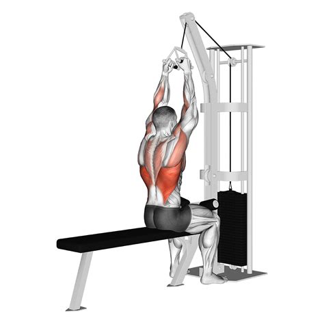 Close Grip Lat Pulldown: Benefits, Muscles Worked, and More - Inspire US