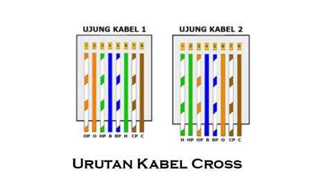 Urutan Kabel LAN, Susunan Straight dan Cross - Cara Crimping Terbaik