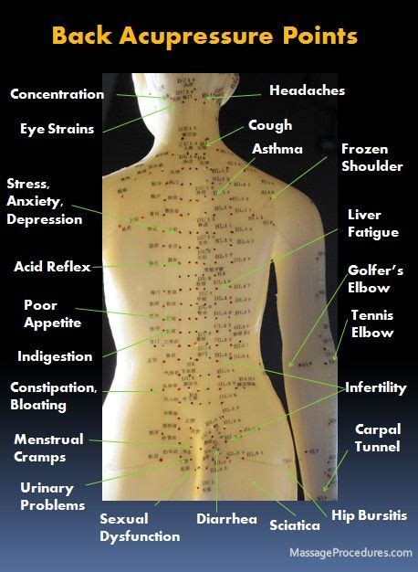 Pin on Holistic Wellness | Massage therapy techniques, Acupressure ...