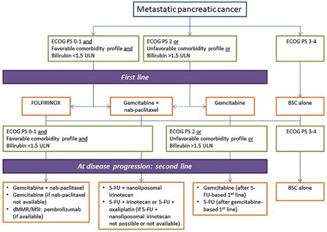 Nccn Pancreatic Cancer Guidelines 2024 - Ibbie Janelle