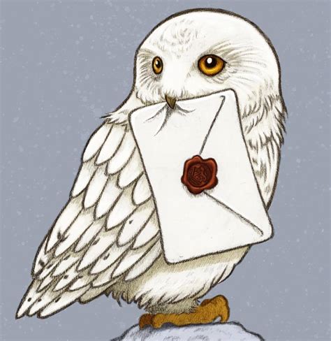 Harry Potter Hedwig Drawing at GetDrawings | Free download