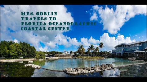 Mrs. Goblin's Travels to The Oceanographic Center in Stuart, Florida ...