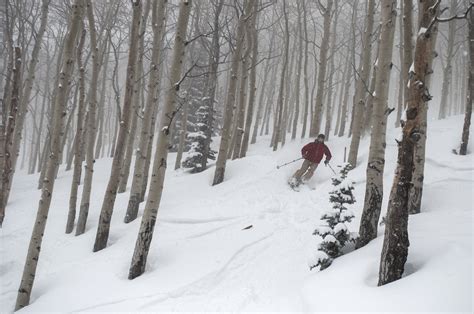 Tree Skiing | Inside Steamboat