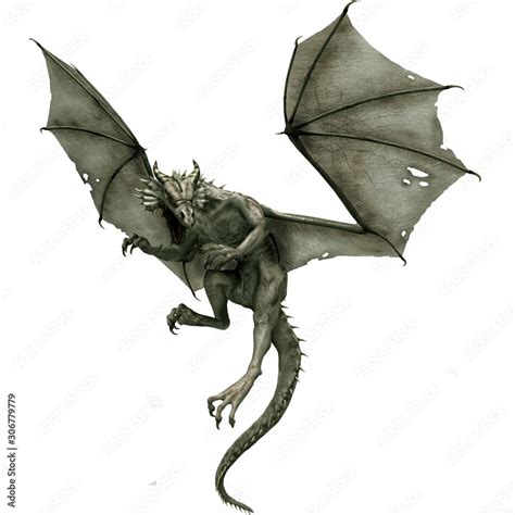 gray dragon flying dragon fantasy animal Mythological creature Stock ...