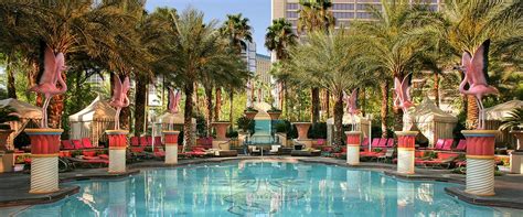 Flamingo Las Vegas Pool: Go Pool & Beach Club Pool