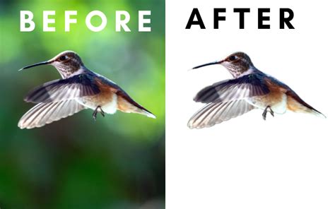 How To Remove Background in Lightroom - allbloggy