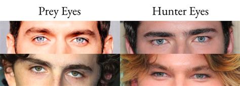 Hunter Eyes: Are They Attractive? Can You Get Them?