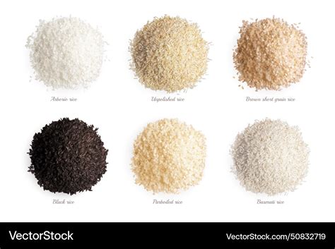 Rice varieties realistic collection Royalty Free Vector