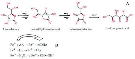 ascorbic acid degradation