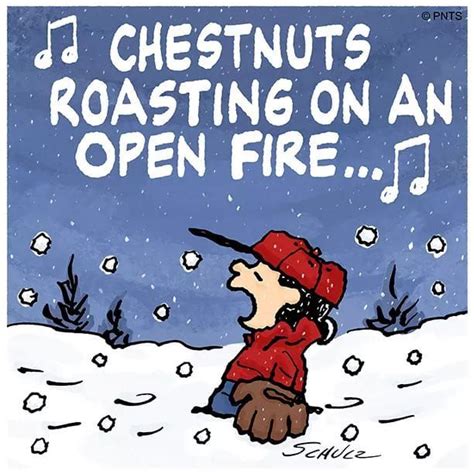 Chestnuts Roasting On An Open Fire Pictures, Photos, and Images for ...