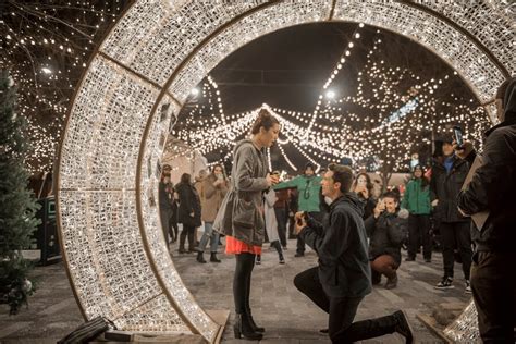 Lights at Lansdowne | Ottawa Christmas Market Website