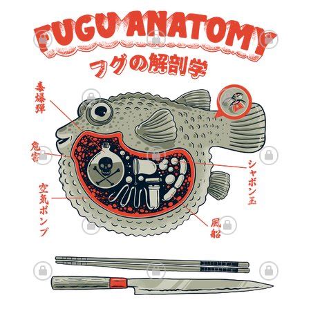 Fugu anatomy - NeatoShop