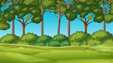 Forest Background Clipart