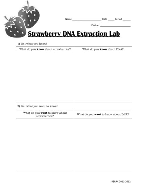 Strawberry DNA Extraction Lab