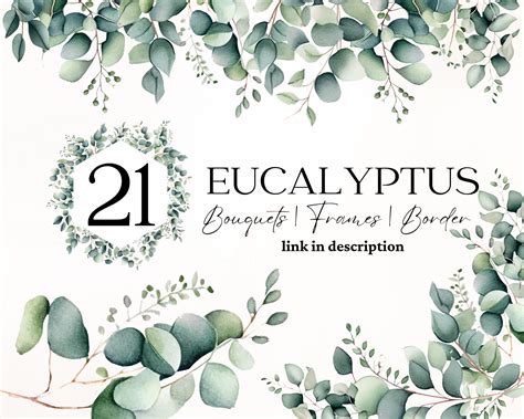 Eucalyptus Watercolor Border Eucalyptus Corner Border Wedding - Etsy