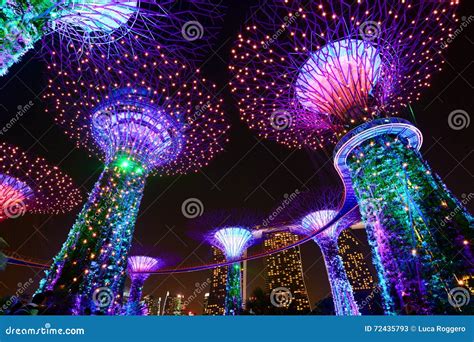 Supertrees at Night. Gardens by the Bay. Singapore Stock Image - Image ...