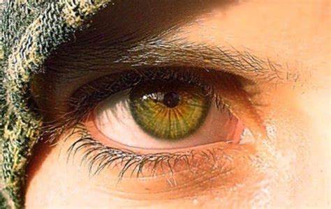 green eyes shades of hazel and jade | Green eyes facts, People with ...