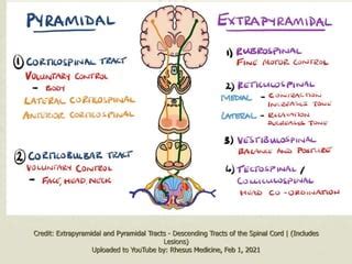 Extrapyramidal symptoms | PPT