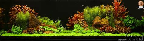 . Reef Aquascaping, Aquascape Aquarium, Planted Aquarium, Colorful Fish ...