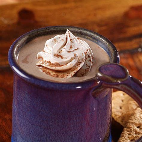 National Hot Cocoa Day: Chocolate recipes for winter's best warming ...