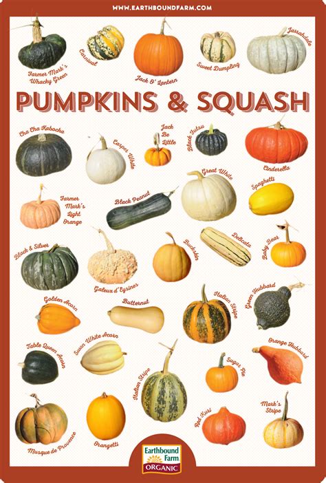 Downloads | Earthbound Farm | Pumpkin squash, Squash varieties, Pumpkin