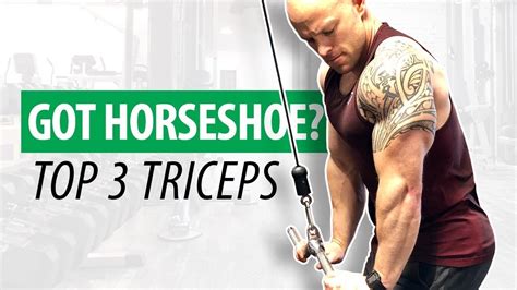 TOP 3 TRICEP EXERCISES (CABLE VERSION) - Horseshoe Development - YouTube