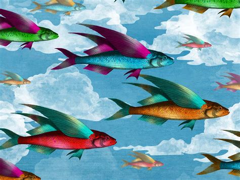 Flying Fish – Bespoke Wallpaper | Adam Ellis