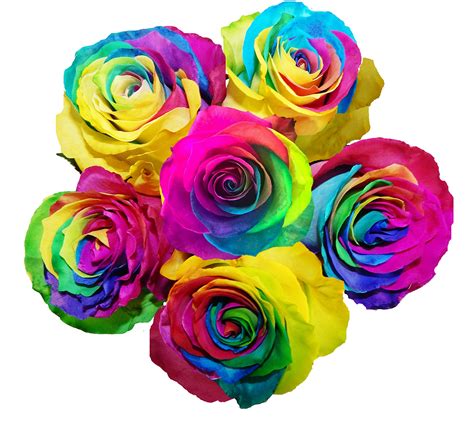 Buy 100 Real Fresh Cut Rainbow Roses | Fresh Flower Roses for Delivery ...