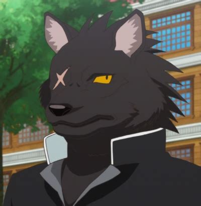 Kuromori Wolf - Character (108189) - AniDB