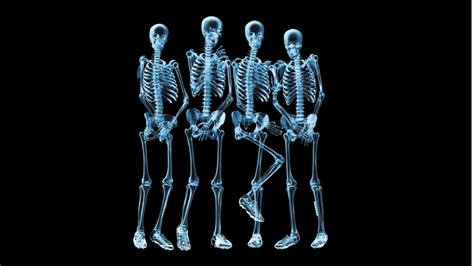 Funny skeletons naked - HD wallpaper