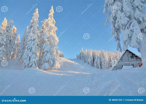 Winter scene on mountain stock photo. Image of amazing - 48681392