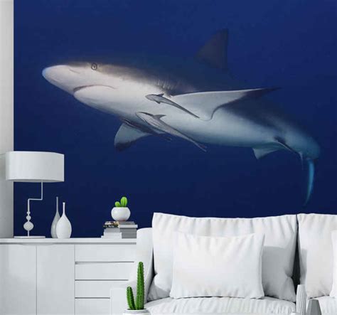 Great white shark underwater mural wallpaper - TenStickers