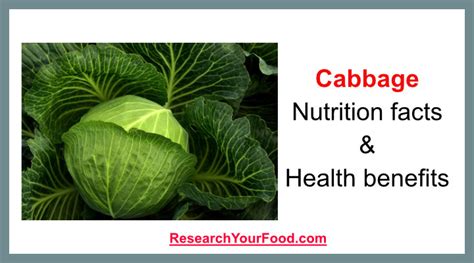 Cabbage: Nutrition facts & health benefits | Research Your Food