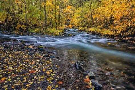 Oregon Fall Foliage (@ORFallFoliage) | Twitter