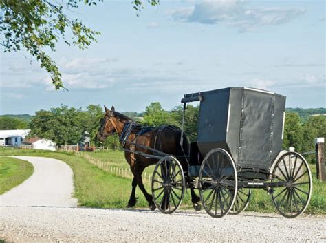 Swartzentruber Amish-Raised Man Shares The Bad Sides Of His Amish Life ...