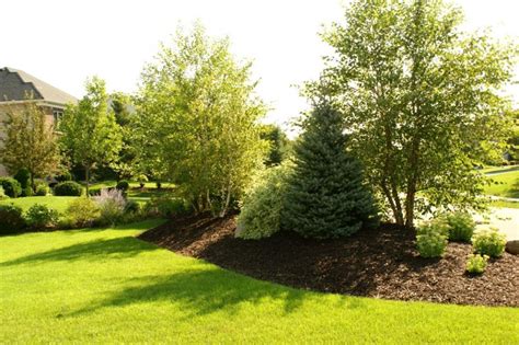 how to build a berm for landscaping - Vasiliki Aquino