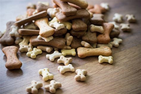 Choosing the Best Dog Treats | Blain's Farm & Fleet Blog