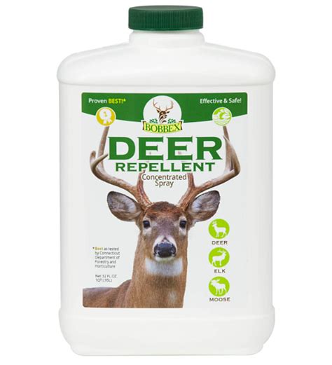 Do Deer Eat Yarrow? Deer Resistant Perennials