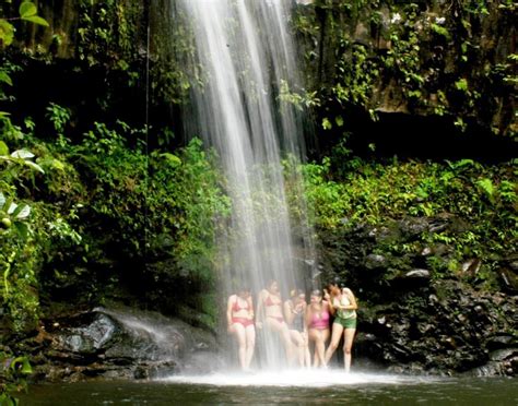 Rainforest & Waterfall Hiking Adventure - OGG Shore Excursions ...