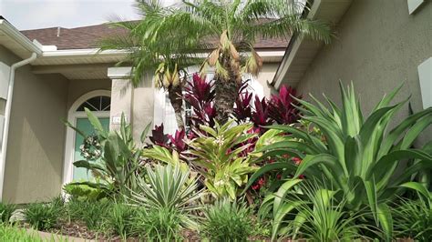 Zone 9 Tropical Landscape Design Plant List For Northeast Florida