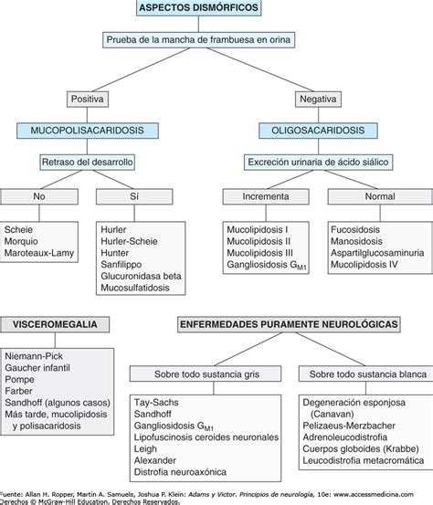 enfermedades y caracteristicas de gangliosidosis pdf