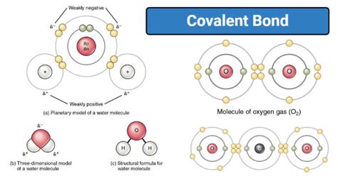 Covalent Bond Definition Properties Types Formation