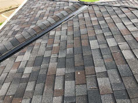 Malarkey Vista Ar Black Oak Roofing Project Reliance Roof Pros