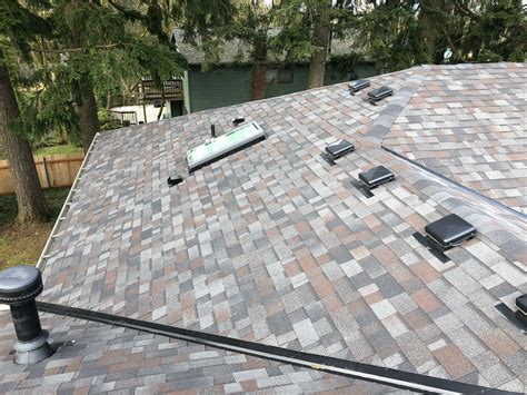 Malarkey Vista Ar Black Oak Roofing Project Reliance Roof Pros