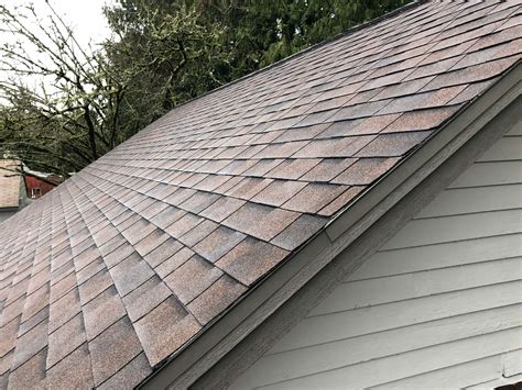 Malarkey Vista Ar Antique Brown Reliance Roof Pros