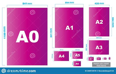 International Paper Sizes Vector Illustration