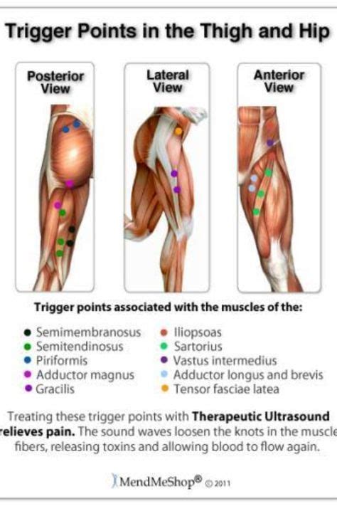 trigger points thigh and hip trigger points trigger point therapy