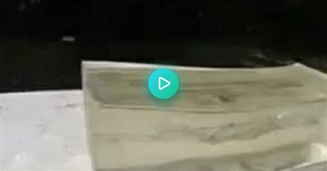 9mm vs ballistic gel album on imgur